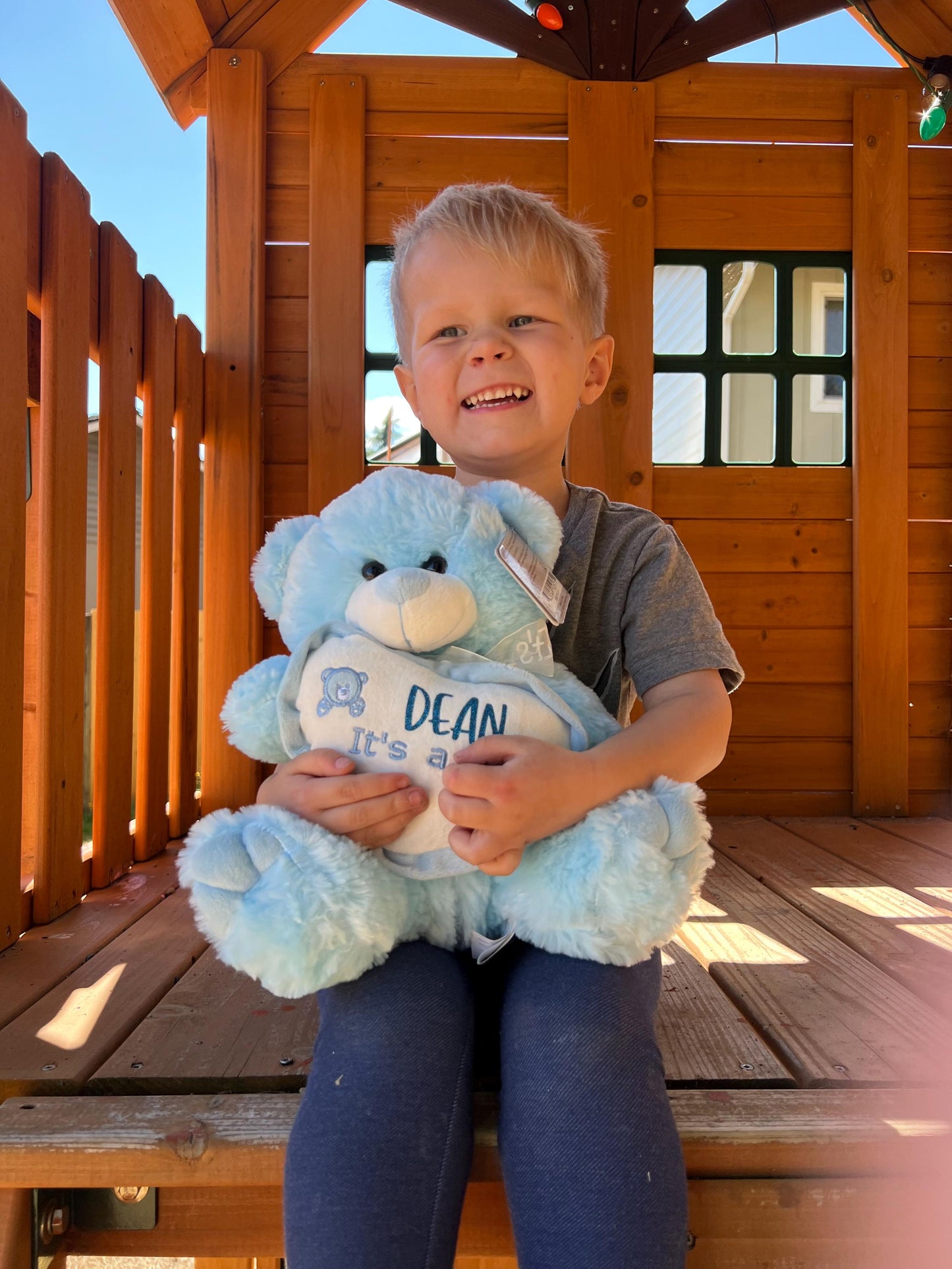 Customizable Blue or Pink ‘It’s a Boy or Girl ’ Teddy Bear with Personalized Name – Unique Baby Gift!