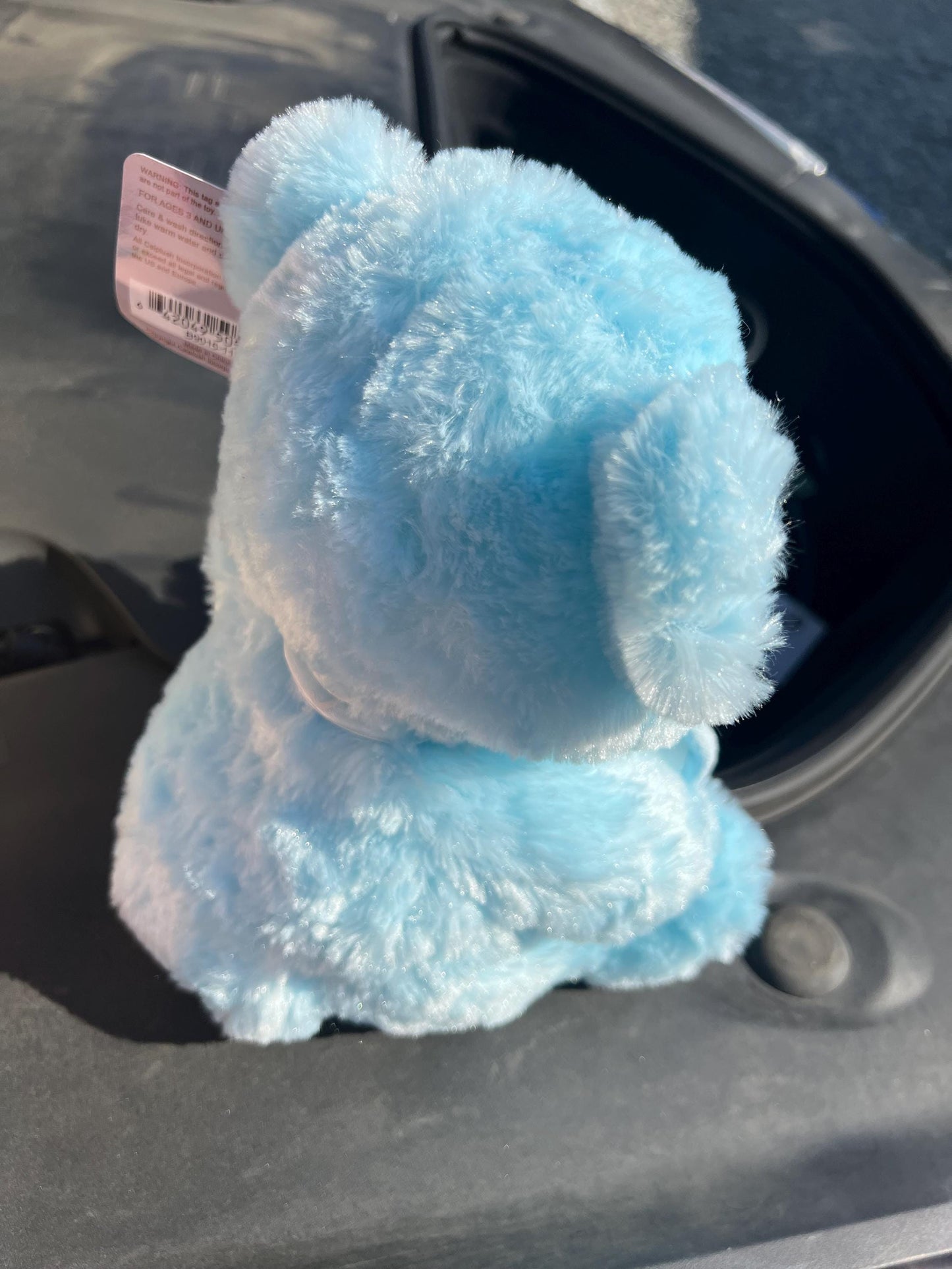 Customizable Blue or Pink ‘It’s a Boy or Girl ’ Teddy Bear with Personalized Name – Unique Baby Gift!