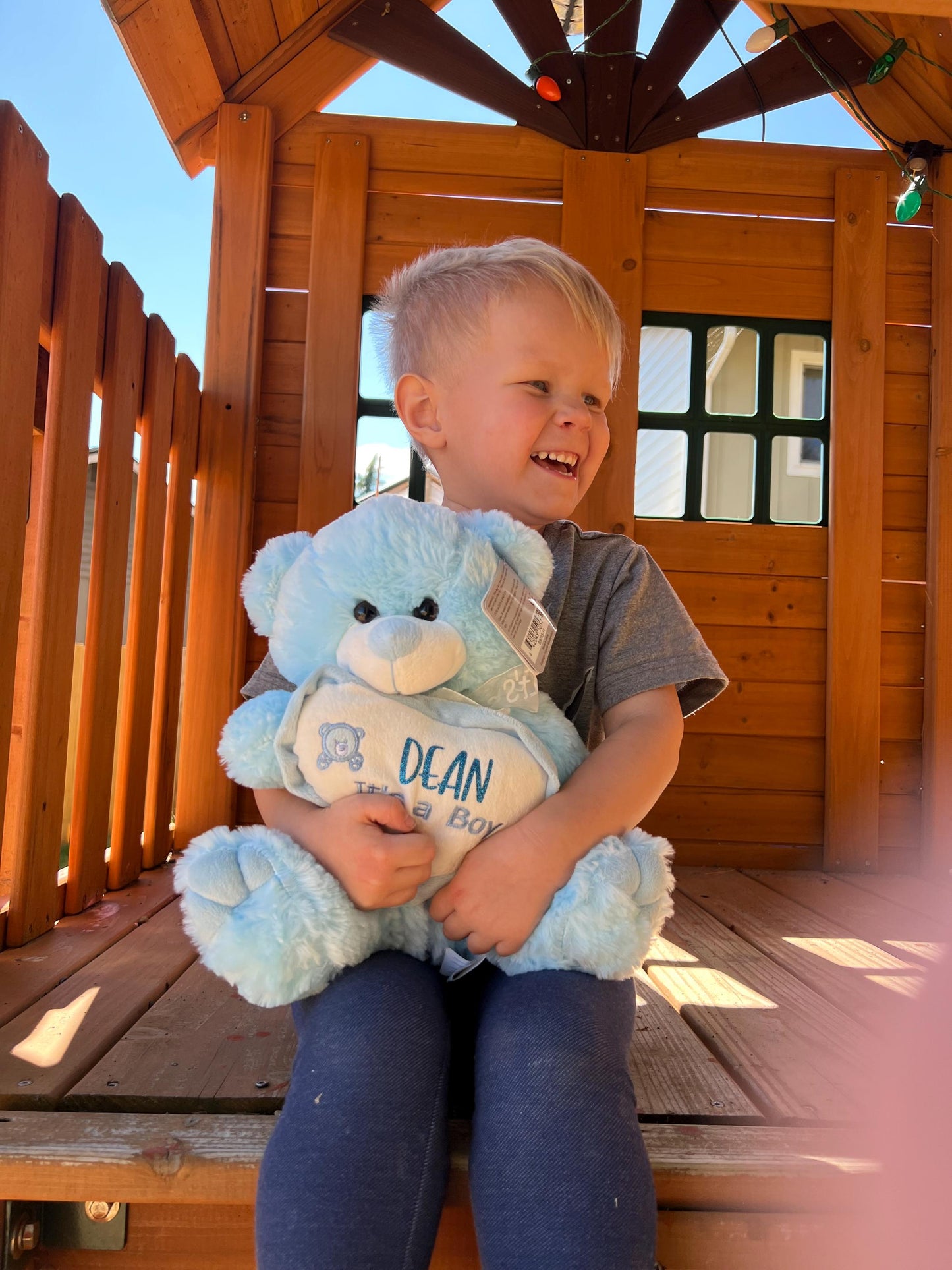 Customizable Blue or Pink ‘It’s a Boy or Girl ’ Teddy Bear with Personalized Name – Unique Baby Gift!